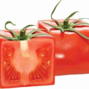 Discovery icon for Shadows of Cube Shaped Fruits Discord server