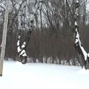 The Great North