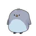 【仮想通貨】Paimenコミュニティ
