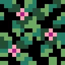 Huc 16