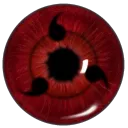 Order Of Omnisama