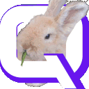 QBunnyTV_FanClub