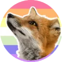 Servidor de NoahFox