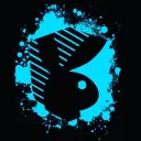 Playmate Guild