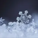 ₊˚✧ Frost SMP ₊˚✧