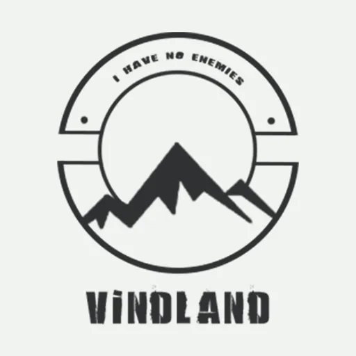 VINDLAND — мониторинг Discord сервера, статистика и рейтинг