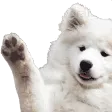 Devvy's Server