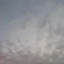 Home in the Sky