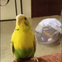 Evil Gang  Discord Server Icon