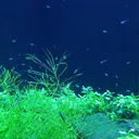 海のなか