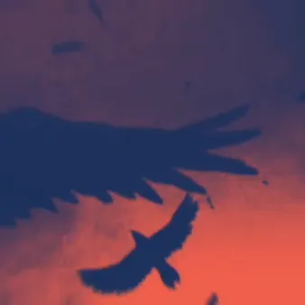 Psychopathy — мониторинг Discord сервера, статистика и рейтинг