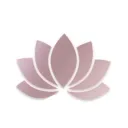 Lotus Entertainment