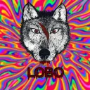 LoBoWRLD