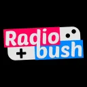 Radiobush