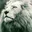 TCGC Ark Discord
