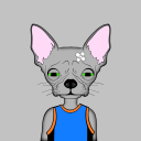 Chihuahua Gang Server Icon