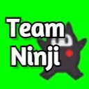 Team Ninji