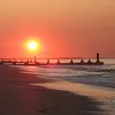 New Jersey Forums