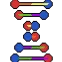The Nucleus