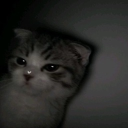 ᴄᴏᴏʟ ᴘᴇᴏᴘʟᴇ ᴏɴʟʏ <3