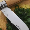 Cut Congress