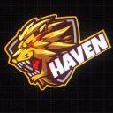 Haven Esports  IN Discord Server Icon