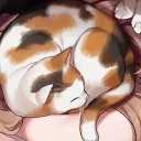❀洌寶與貓貓の窩❀