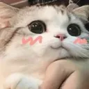 あろるーむ