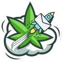 NextNug