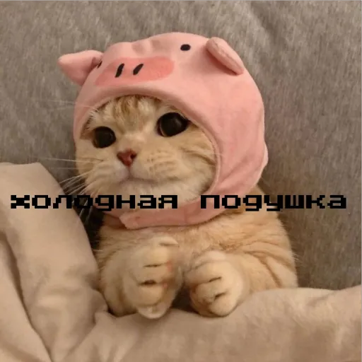 。o♡*Холодная подушка*♡o。 — мониторинг Discord сервера, статистика и рейтинг