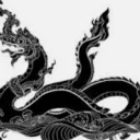 NAGA 私