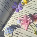 booktwt <3