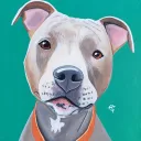 Blue Nose Trading