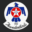 Flight Simulator Thunderbirds, LLC