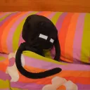 Insom's Sleepover