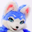 SOLOのサーバー