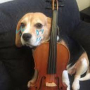 Kemanist Köpekler icon