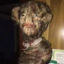 C̷͆̑u̵̎͛r̸̀̀s̴̜͛e̶̲͠d̸͖̊ ̴͗͝V̷̀͆i̶͐̈́d̸̾͆ẽ̸̺o̴͒̅s̴̻̀