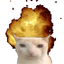gatinhopodre's server de amigos
