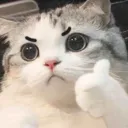 xwyxq
