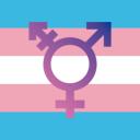 Trans Discord France