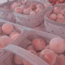 ༼༺The Peachy Hangout༻༽