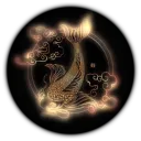 Koi
