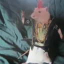 HIJAS DE HÉCATE' HOUSE