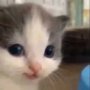 🌈 ฮายมัยเฟรนโตะ εїз