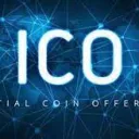 Crypto ICO Investors