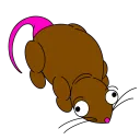 The Rat Cave
