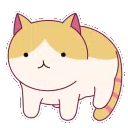 Cat Cafe India🌻Indian Discord Server・Make Friends・Hindi English・Asia Asian Gaming Kpop Chilling 🐈