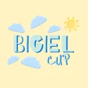 Bigiel CUP 2.0