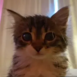 SQUAD-69 — мониторинг Discord сервера, статистика и рейтинг